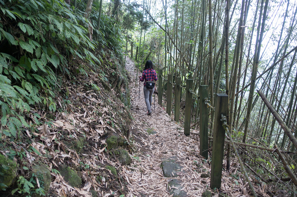 DSC05300.jpg DSC05300.jpg