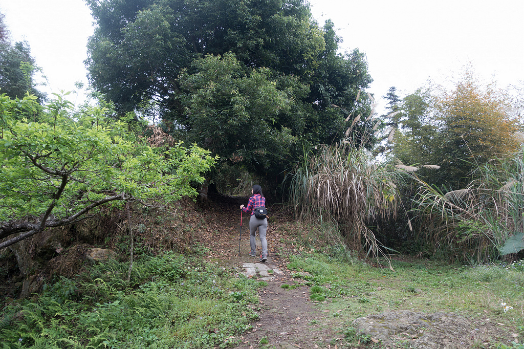 DSC05314.jpg DSC05314.jpg