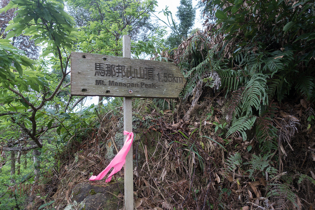 DSC05316.jpg DSC05316.jpg