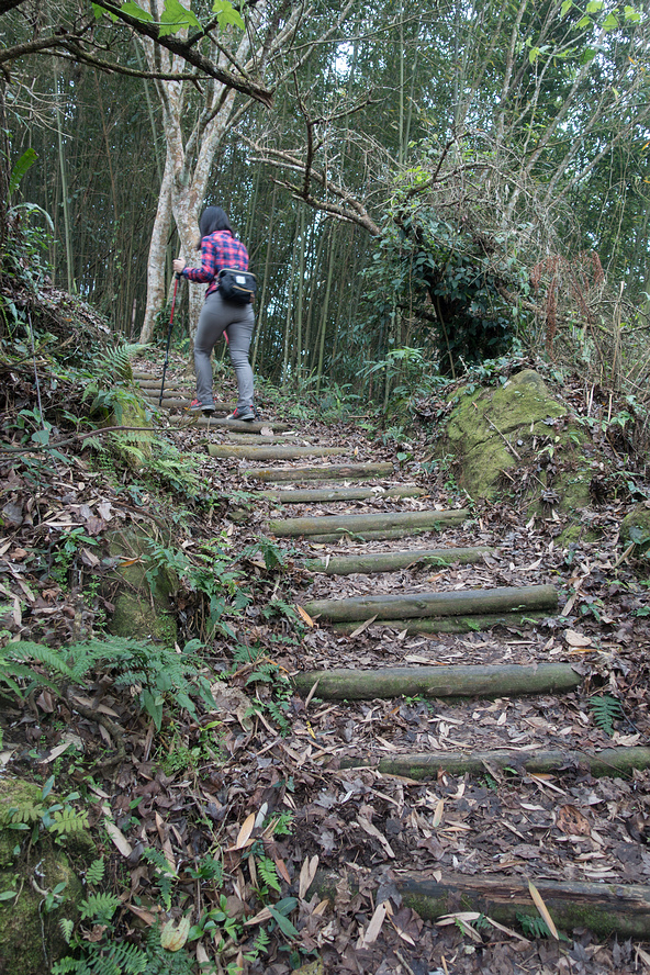 DSC05318.jpg DSC05318.jpg