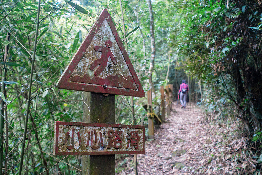 DSC05320-編輯.jpg DSC05320-編輯.jpg