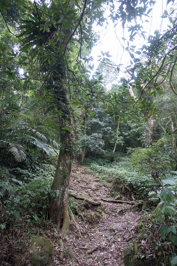 DSC05324.jpg DSC05324.jpg