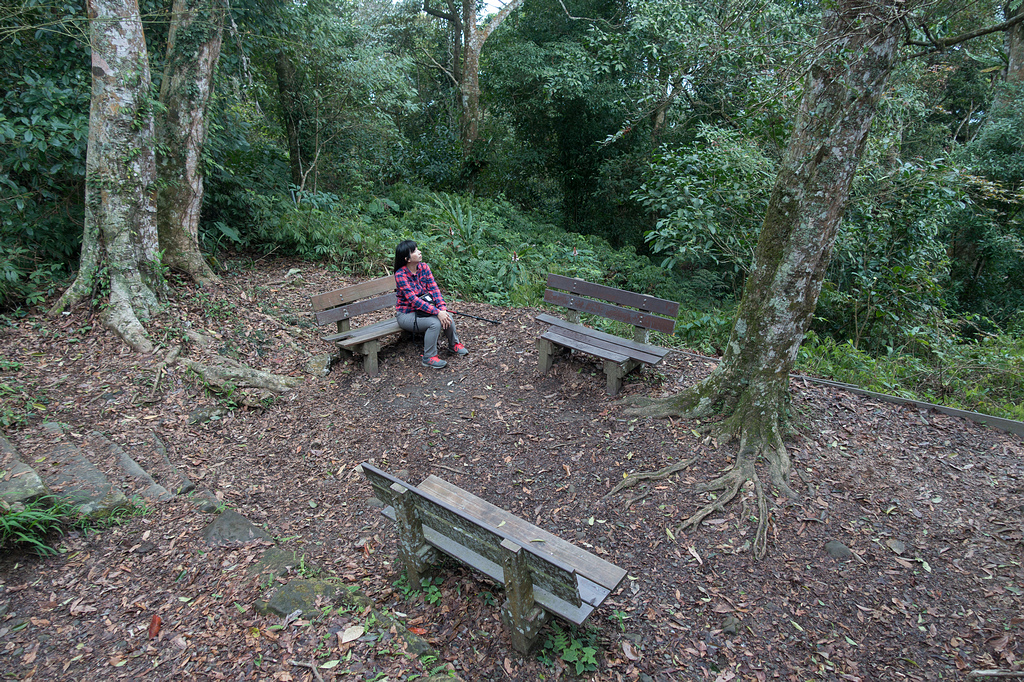 DSC05335.jpg DSC05335.jpg