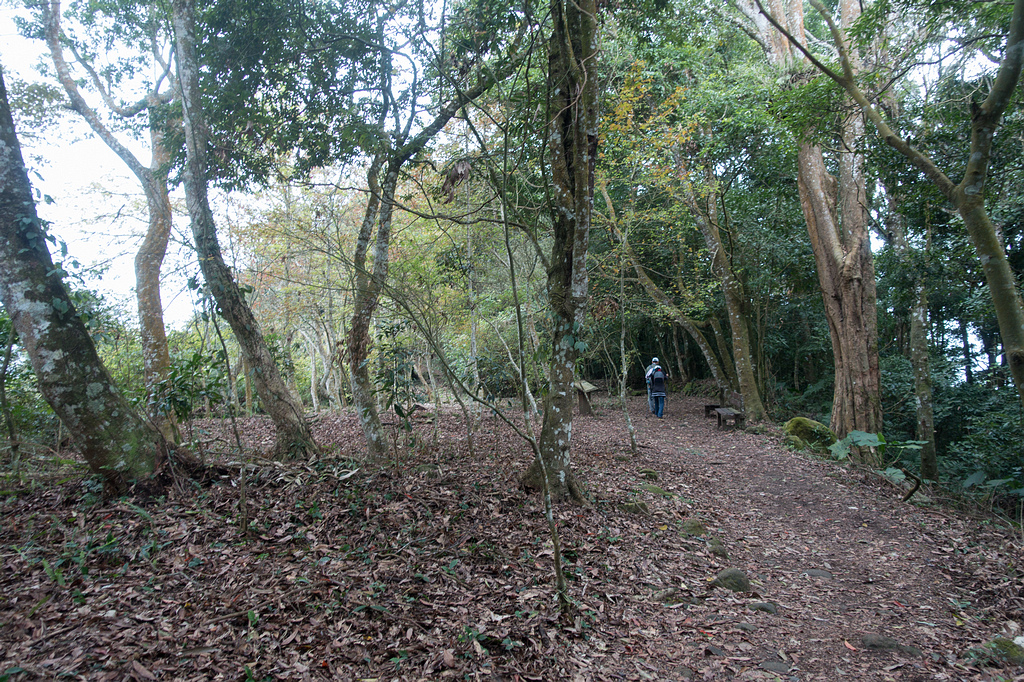 DSC05341.jpg DSC05341.jpg