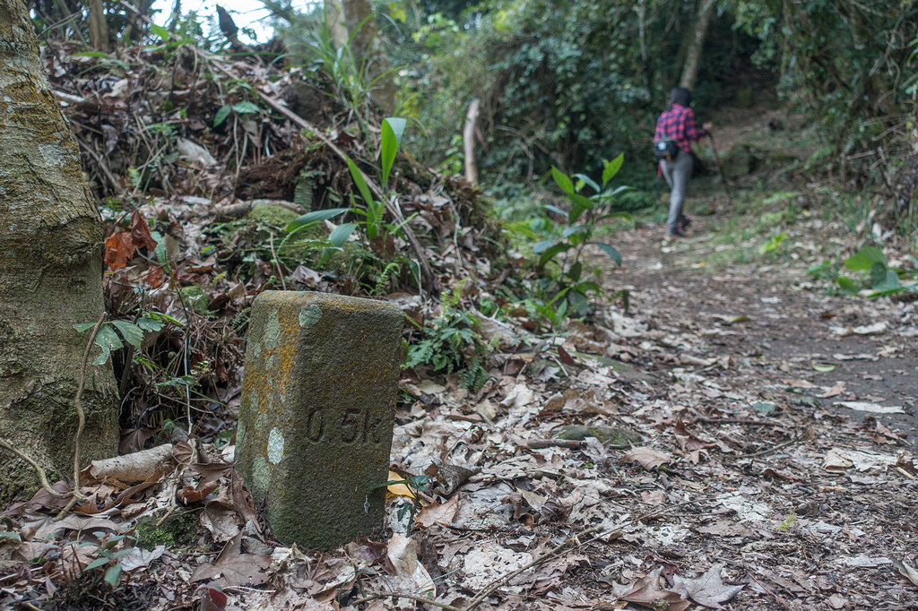 DSC05349.jpg DSC05349.jpg