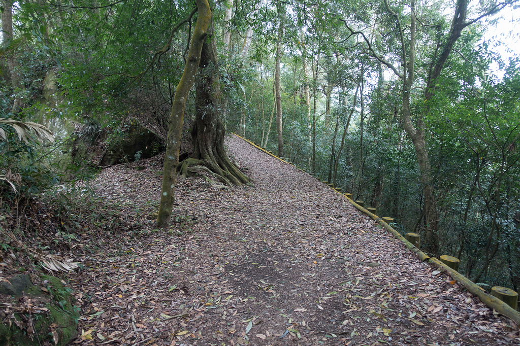 DSC05351.jpg DSC05351.jpg