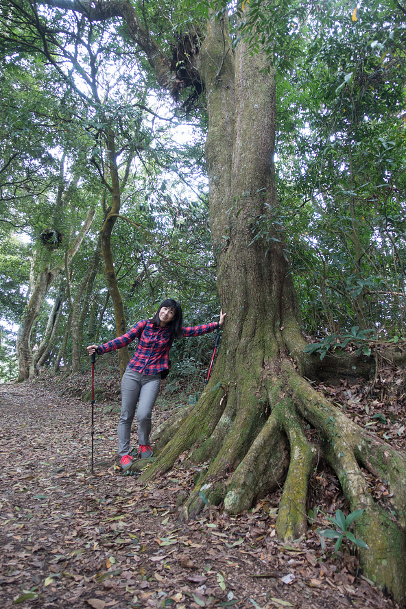 DSC05352.jpg DSC05352.jpg