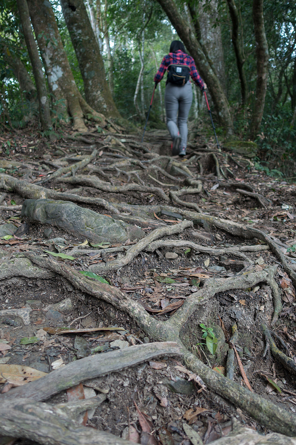 DSC05371.jpg DSC05371.jpg