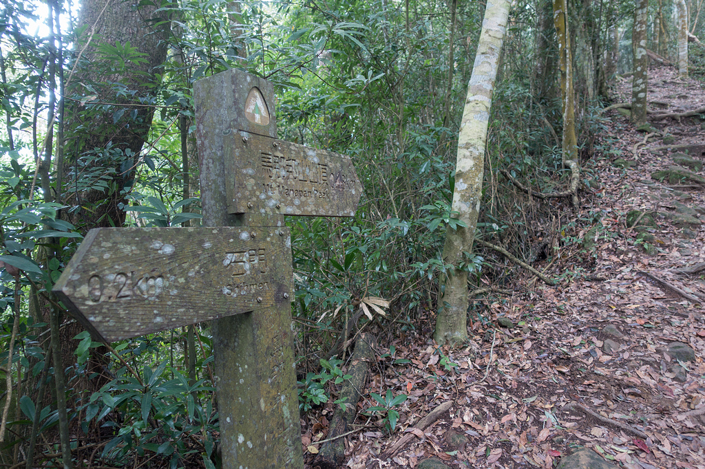 DSC05373.jpg DSC05373.jpg