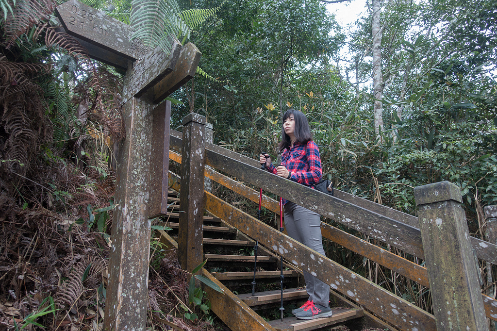 DSC05382.jpg DSC05382.jpg