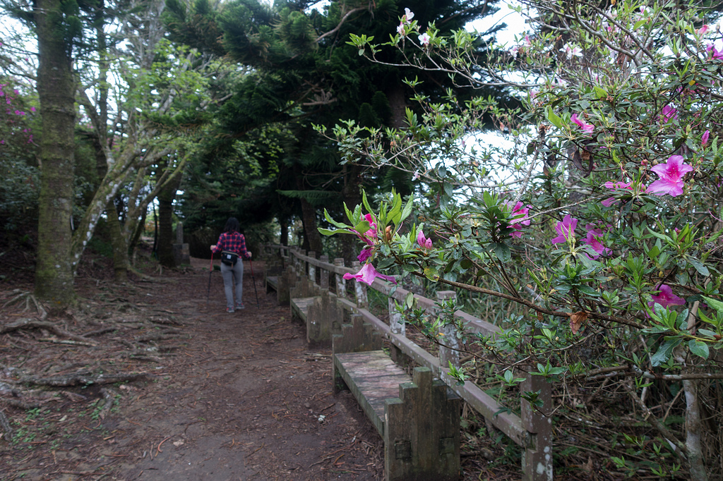 DSC05385.jpg DSC05385.jpg