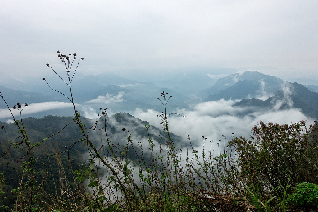 DSC05391-編輯.jpg DSC05391-編輯.jpg