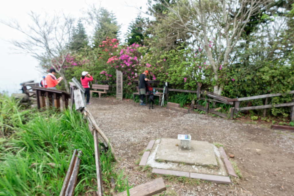 DSC05432-編輯.jpg DSC05432-編輯.jpg