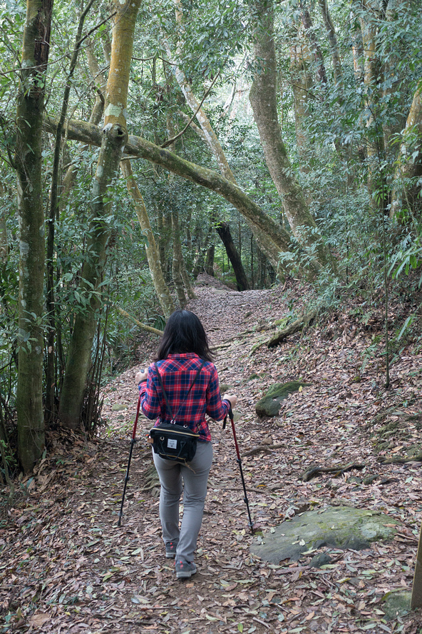 DSC05437.jpg DSC05437.jpg