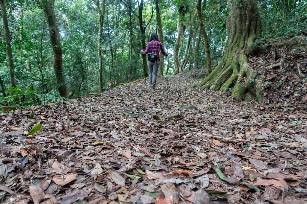 DSC05439-編輯.jpg DSC05439-編輯.jpg