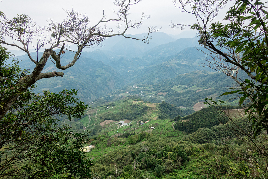 DSC05444-編輯.jpg DSC05444-編輯.jpg