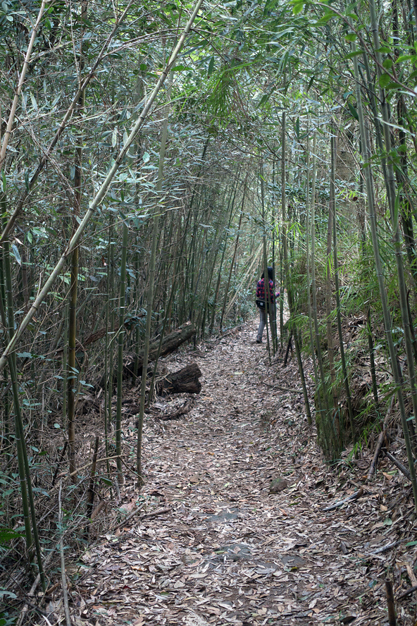 DSC05451.jpg DSC05451.jpg