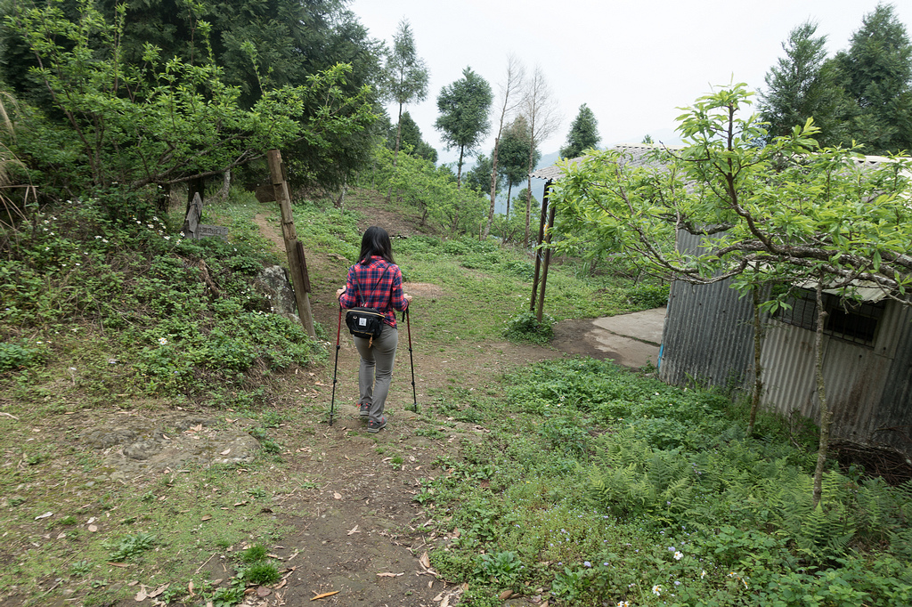 DSC05452.jpg DSC05452.jpg