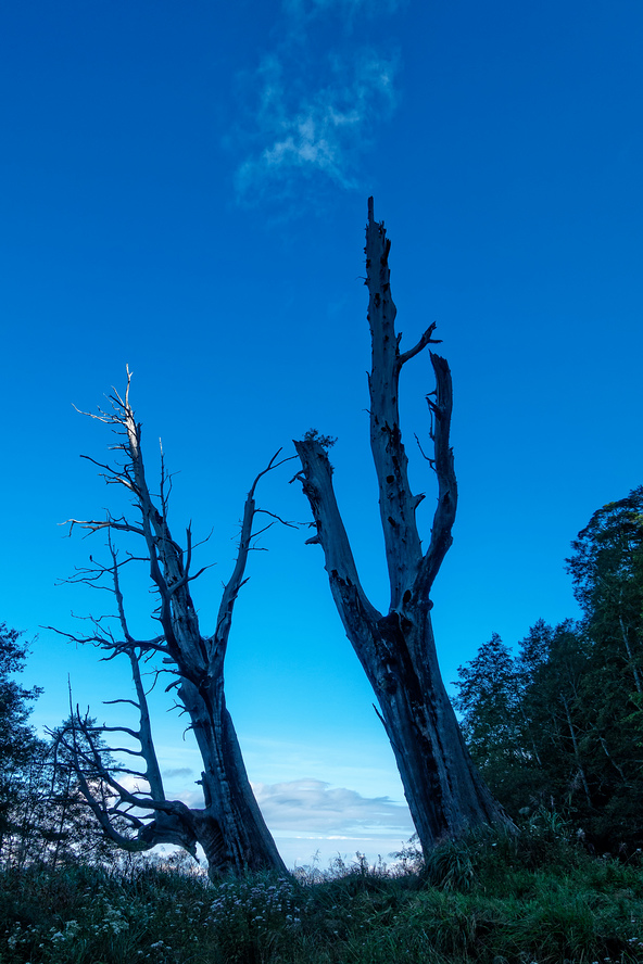 DSC06855-編輯-編輯.jpg DSC06855-編輯-編輯.jpg