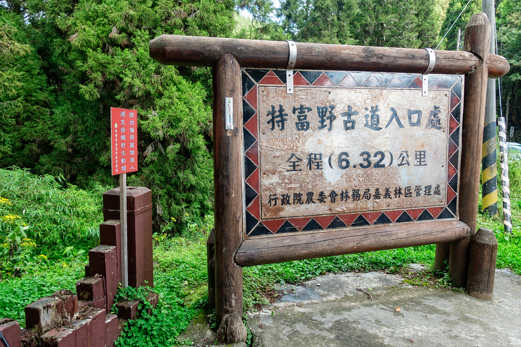 DSC06860-編輯.jpg DSC06860-編輯.jpg