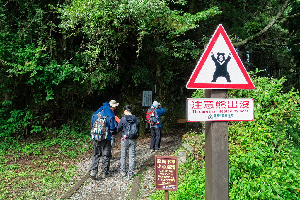 DSC06865-編輯.jpg DSC06865-編輯.jpg