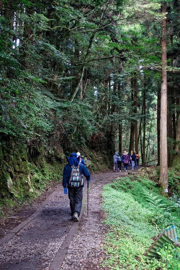 DSC06866-編輯.jpg DSC06866-編輯.jpg