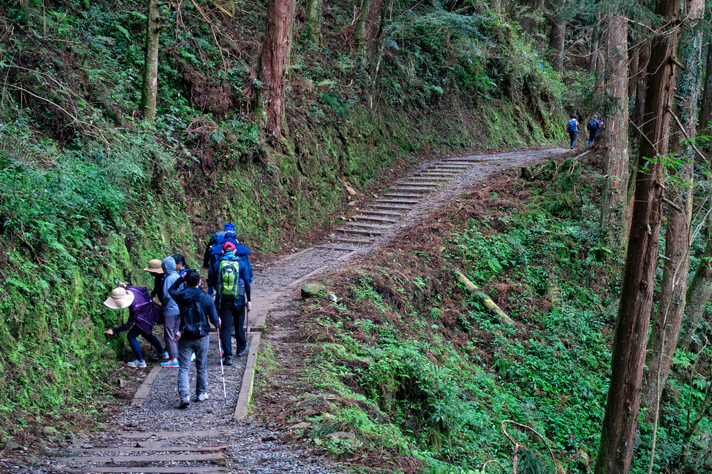 DSC06869-編輯.jpg DSC06869-編輯.jpg