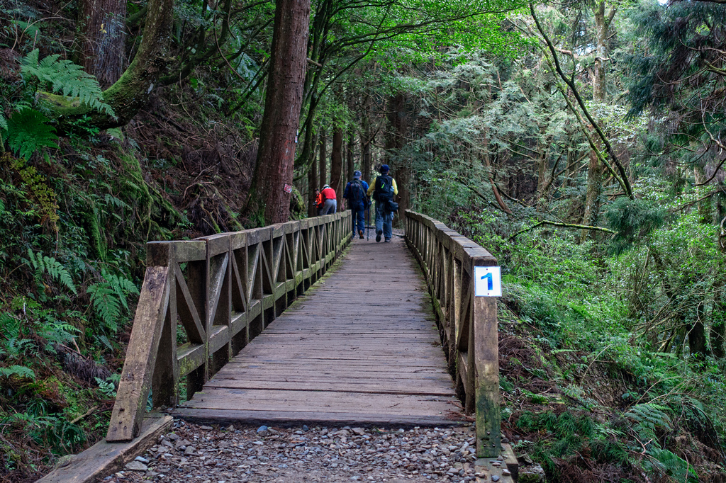 DSC06882-編輯.jpg DSC06882-編輯.jpg