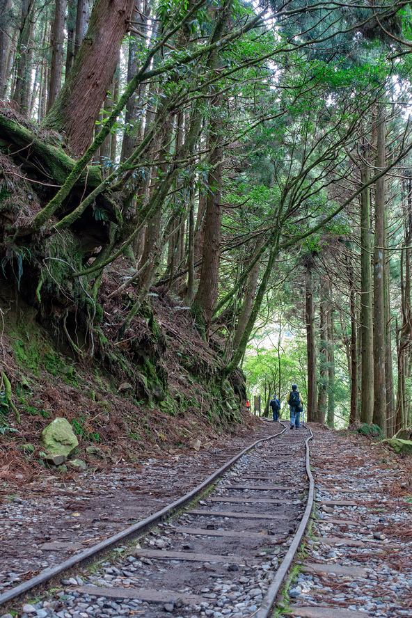 DSC06889-編輯.jpg DSC06889-編輯.jpg