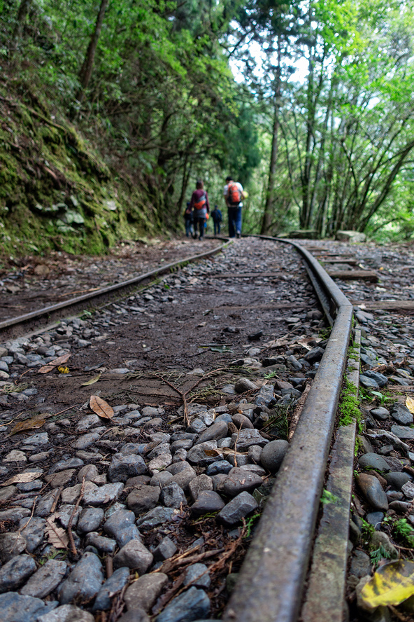 DSC06891-編輯.jpg DSC06891-編輯.jpg