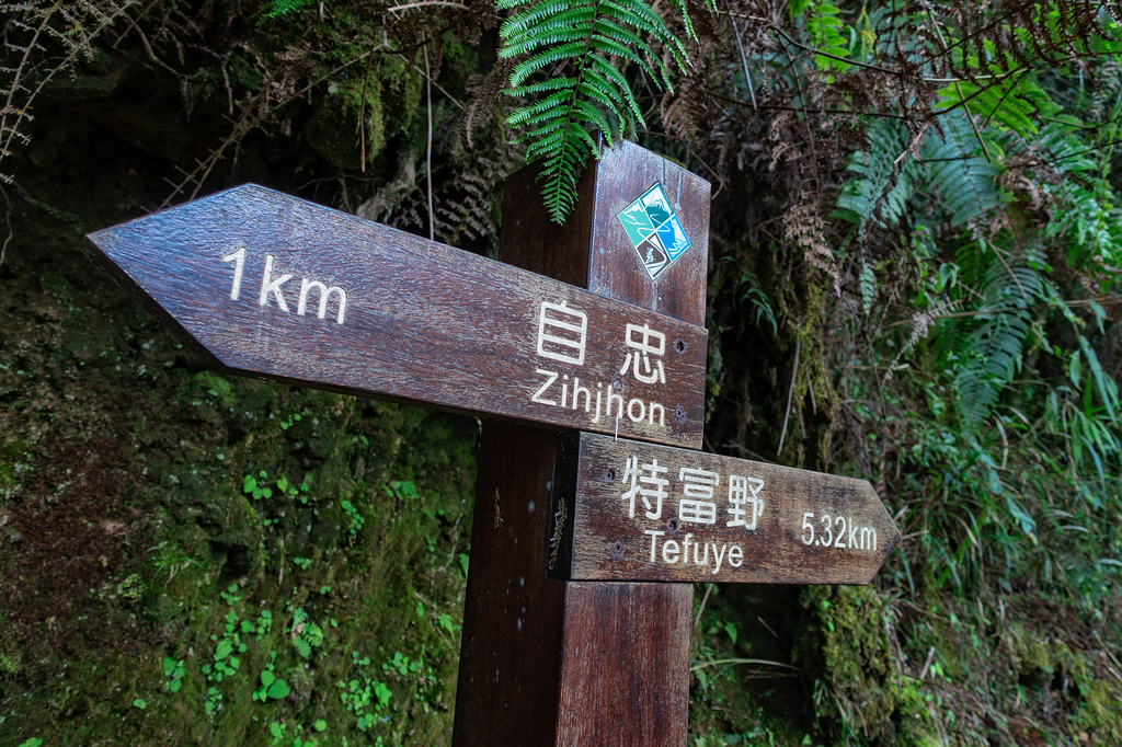 DSC06894-編輯.jpg DSC06894-編輯.jpg