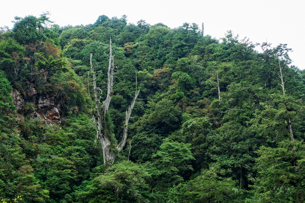 DSC06898-編輯.jpg DSC06898-編輯.jpg