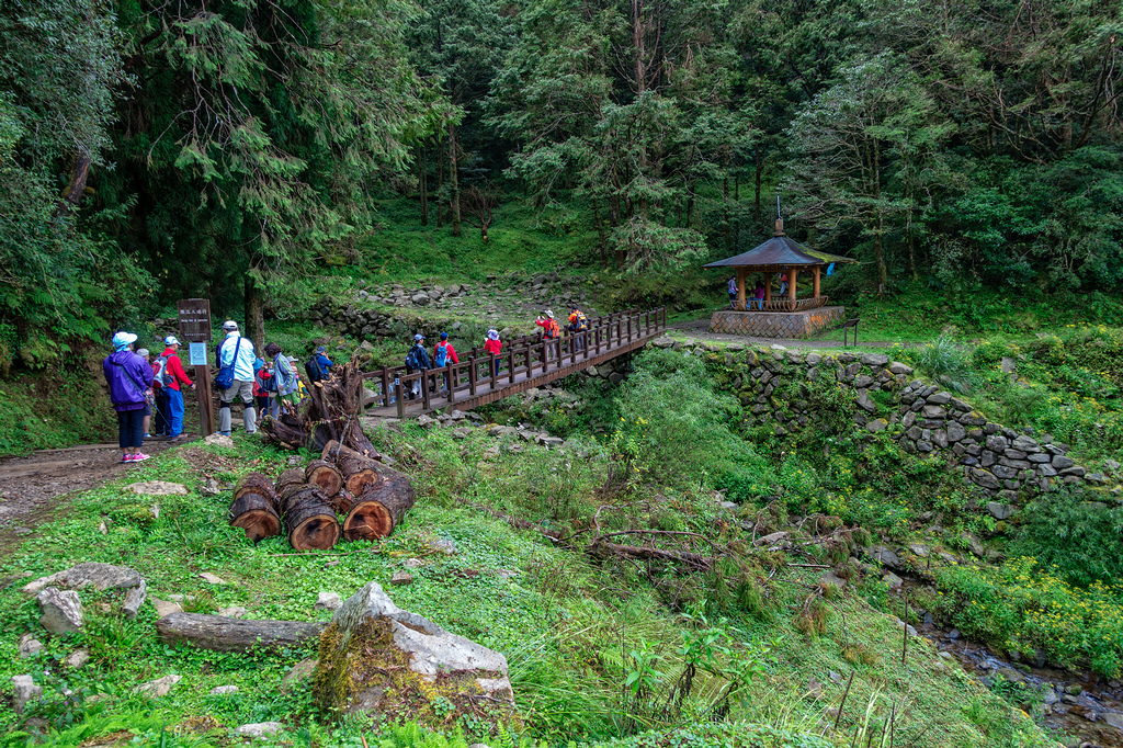 DSC06900-編輯.jpg DSC06900-編輯.jpg