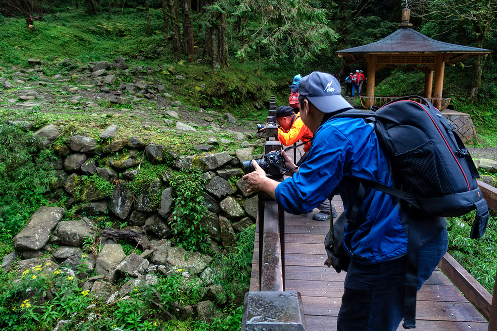 DSC06903-編輯.jpg DSC06903-編輯.jpg