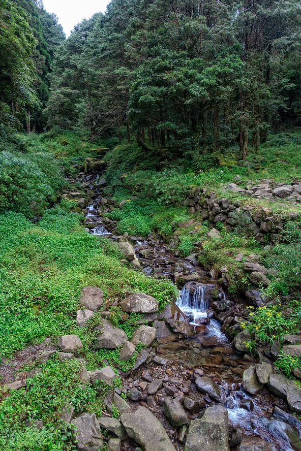 DSC06905-編輯.jpg DSC06905-編輯.jpg