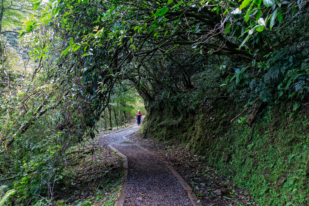 DSC06916-編輯.jpg DSC06916-編輯.jpg