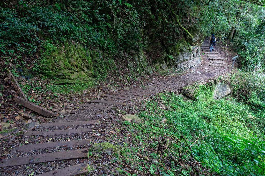 DSC06917-編輯.jpg DSC06917-編輯.jpg