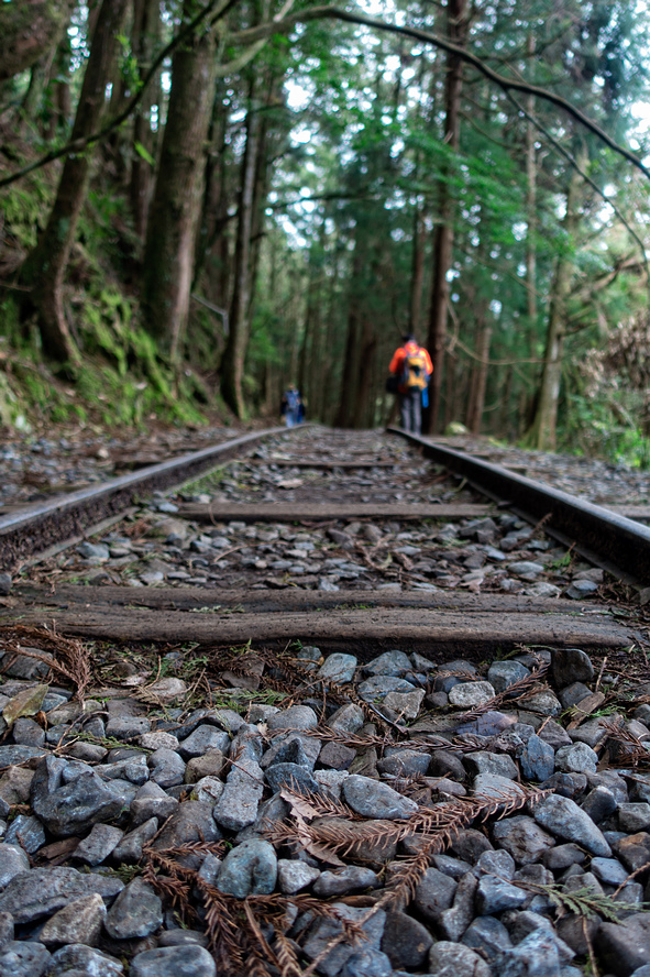 DSC06924-編輯.jpg DSC06924-編輯.jpg