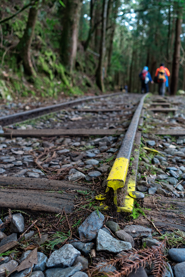 DSC06927-編輯.jpg DSC06927-編輯.jpg