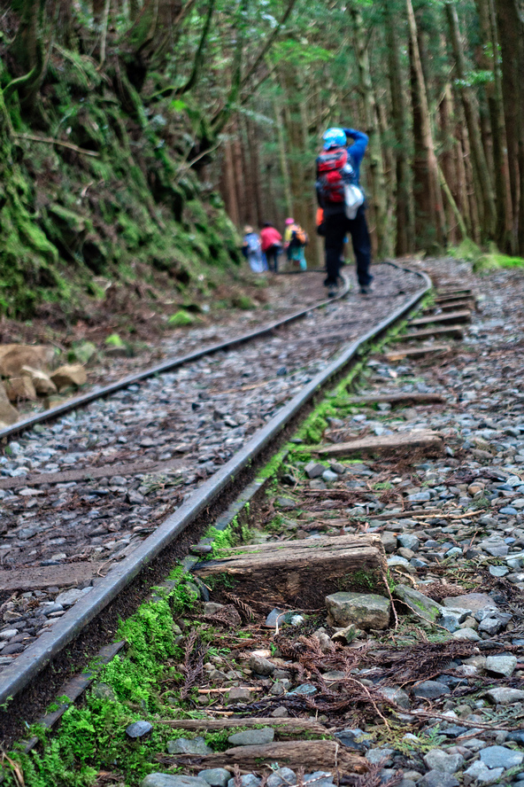 DSC06930-編輯.jpg DSC06930-編輯.jpg