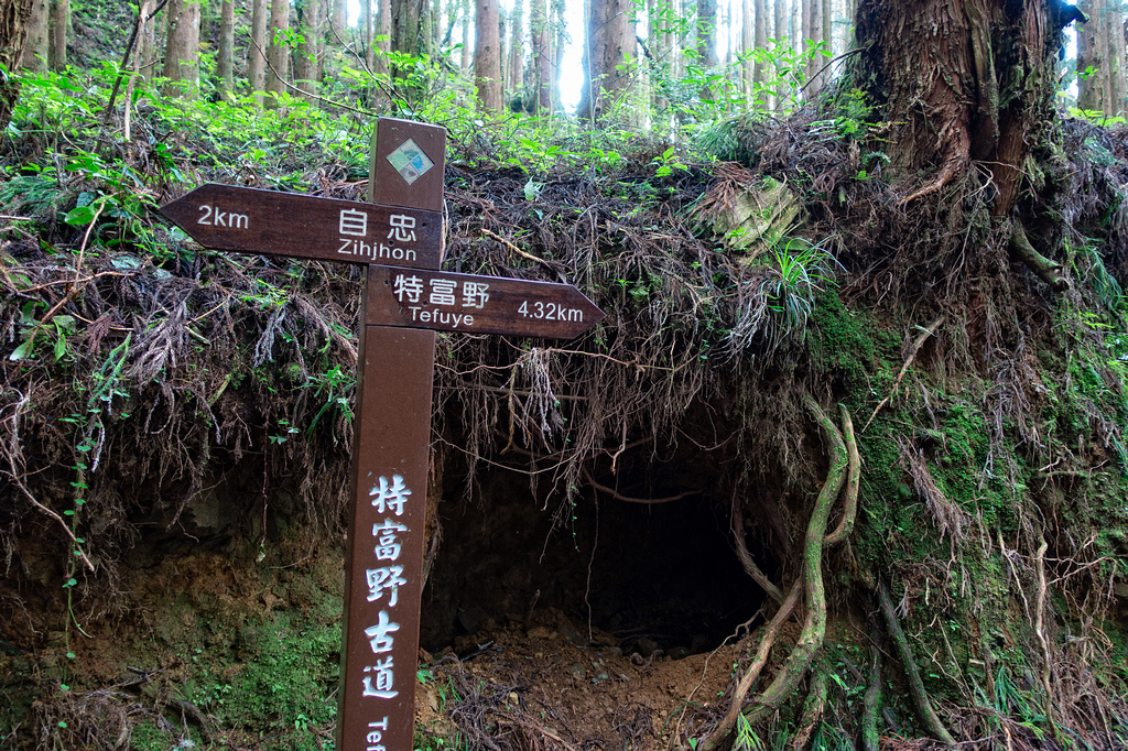 DSC06937-編輯.jpg DSC06937-編輯.jpg