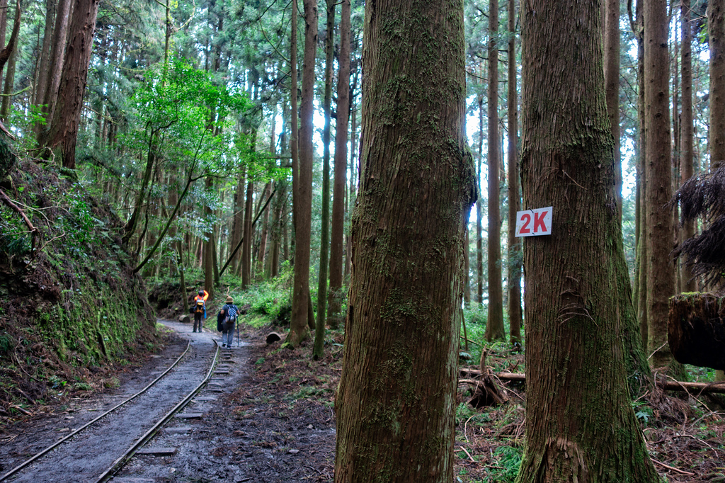 DSC06938-編輯.jpg DSC06938-編輯.jpg