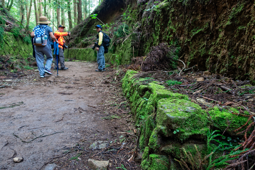 DSC06940-編輯.jpg DSC06940-編輯.jpg