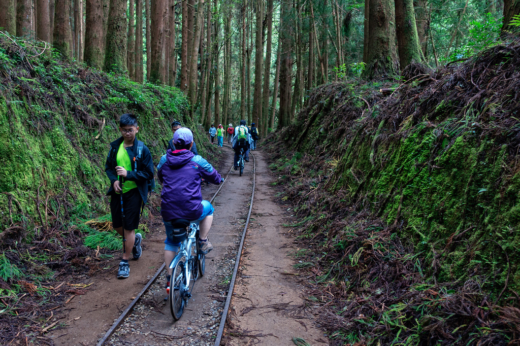 DSC06946-編輯.jpg DSC06946-編輯.jpg