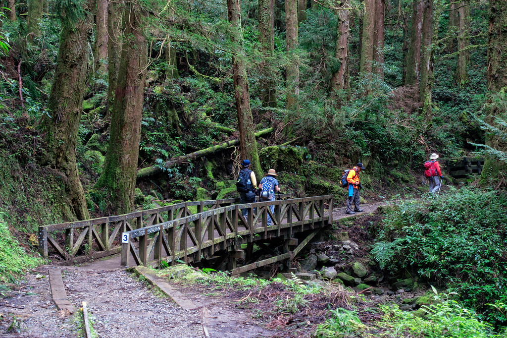 DSC06949-編輯.jpg DSC06949-編輯.jpg