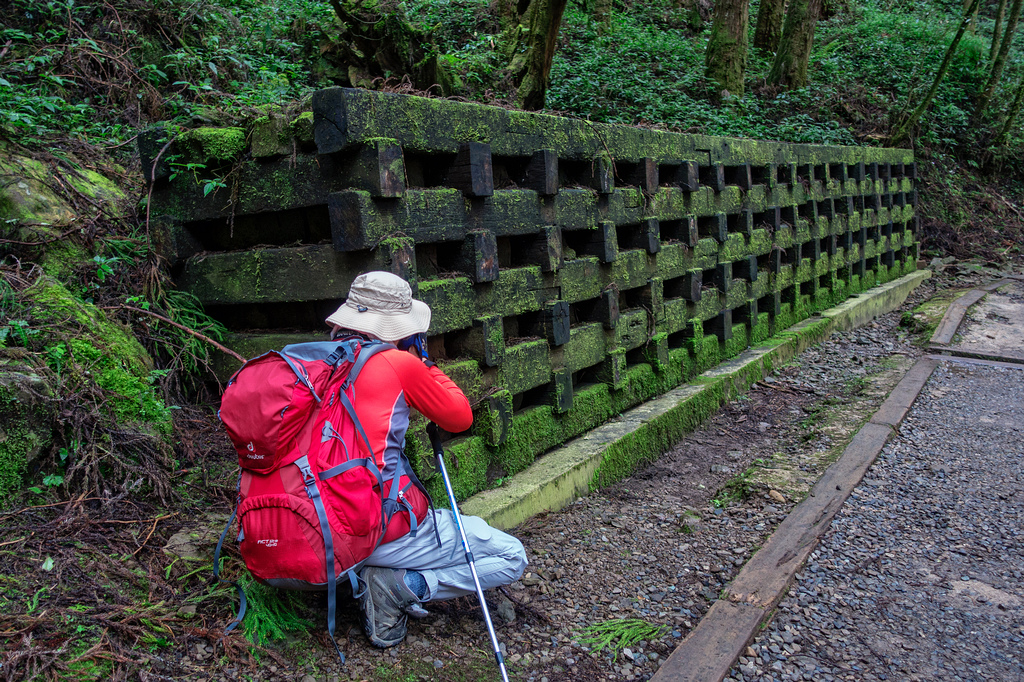 DSC06951-編輯.jpg DSC06951-編輯.jpg