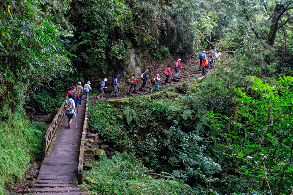 DSC06953-編輯.jpg DSC06953-編輯.jpg