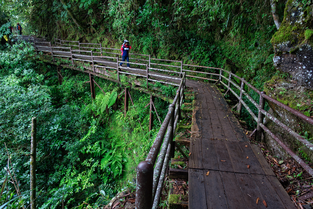 DSC06962-編輯.jpg DSC06962-編輯.jpg