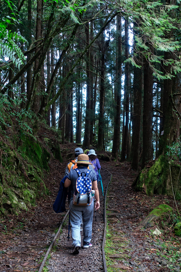 DSC06963-編輯.jpg DSC06963-編輯.jpg