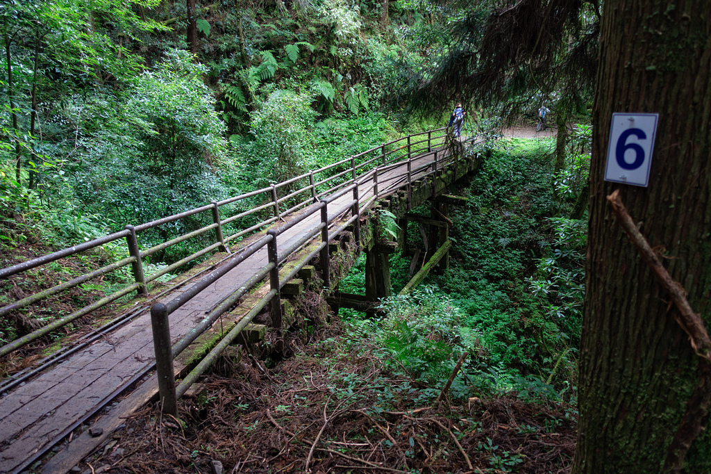 DSC06967-編輯.jpg DSC06967-編輯.jpg